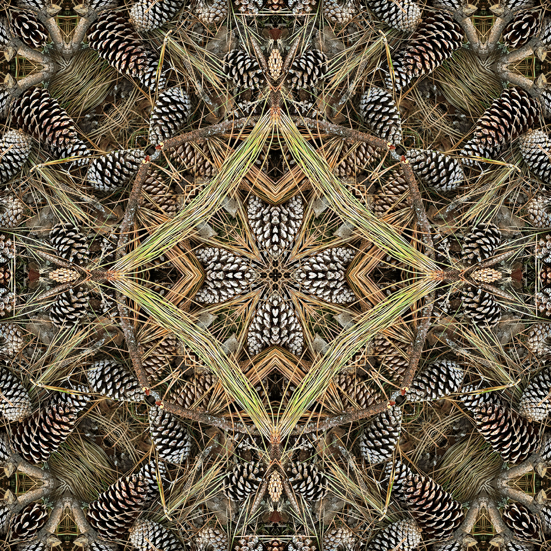 Beryl's Pine Cone 2 Medallion Square Scarf