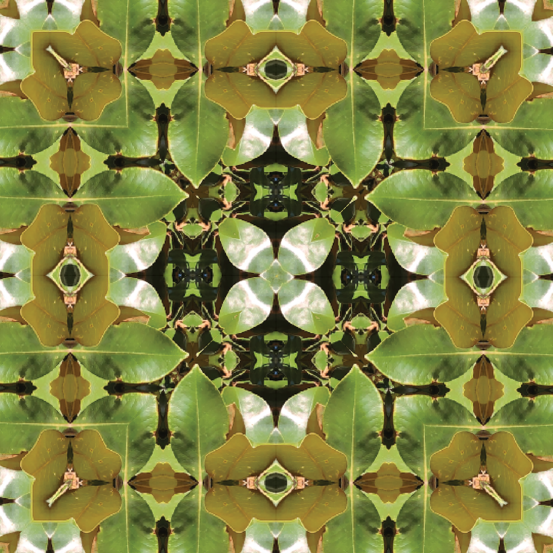 Magnolia Leaf 3 Midi skirt