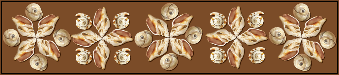 Seashell Stars Long Scarf