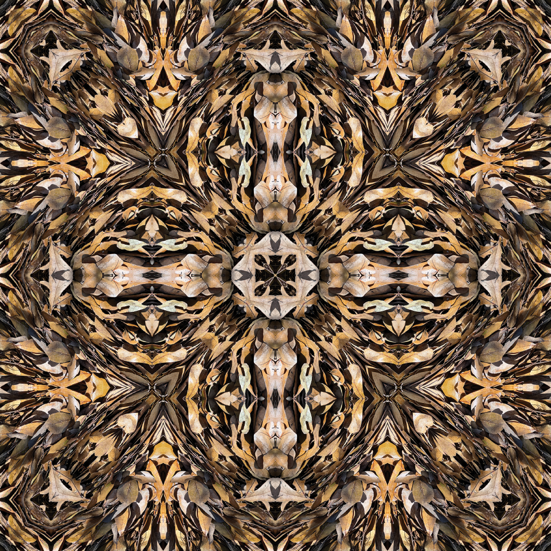 Walking Leaves 2 Square Scarf