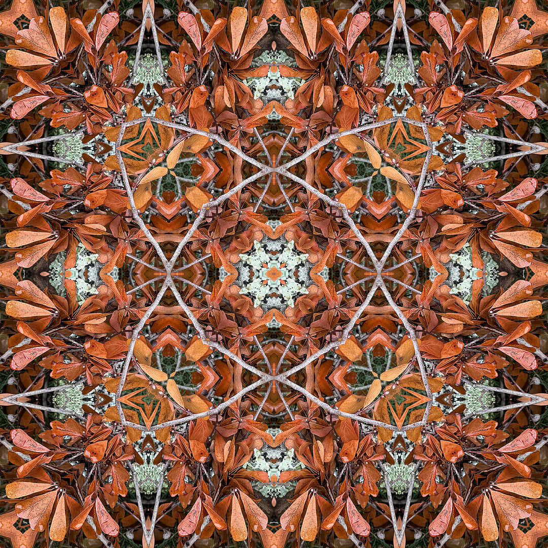 Beryl's Red Leaves Square Scarf
