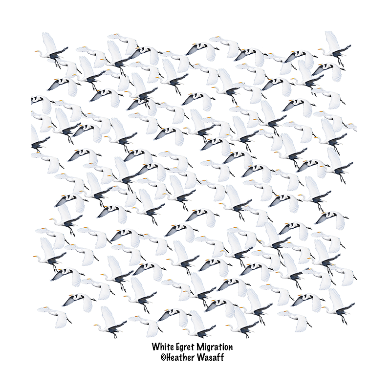 White Egret Migration Sweater with pockets