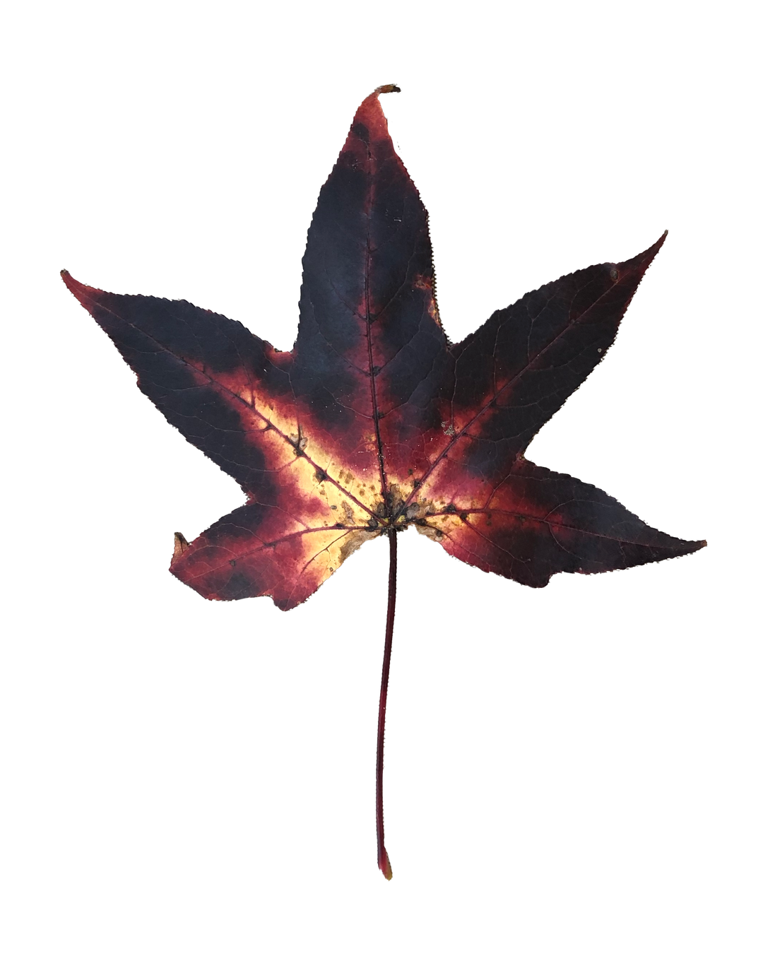 Black Leaf Jumble Quilt (Regular) Loose Tank Top