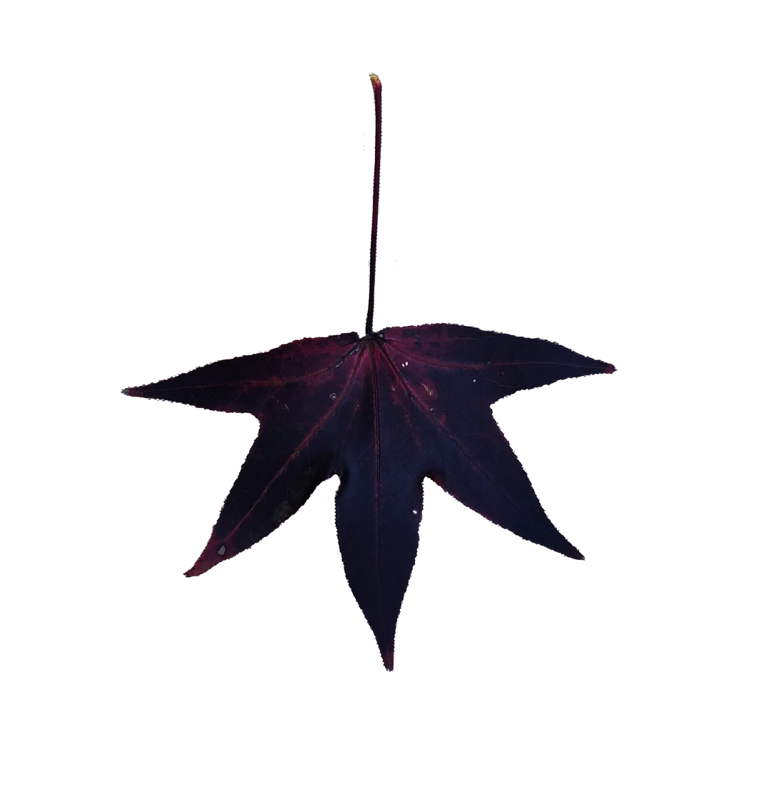 Black Leaf Jumble Quilt (Long) Loose Tank Top