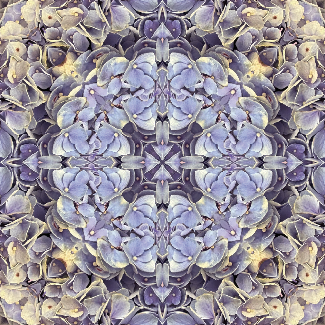 Blue Lavender Hydrangea Square Scarf