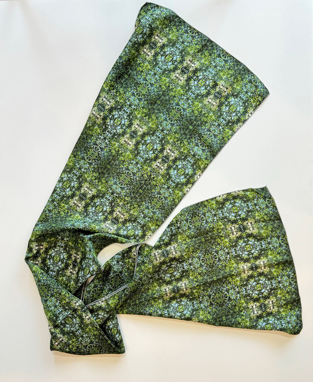 Cypress Tree Sunny Day Long Scarf