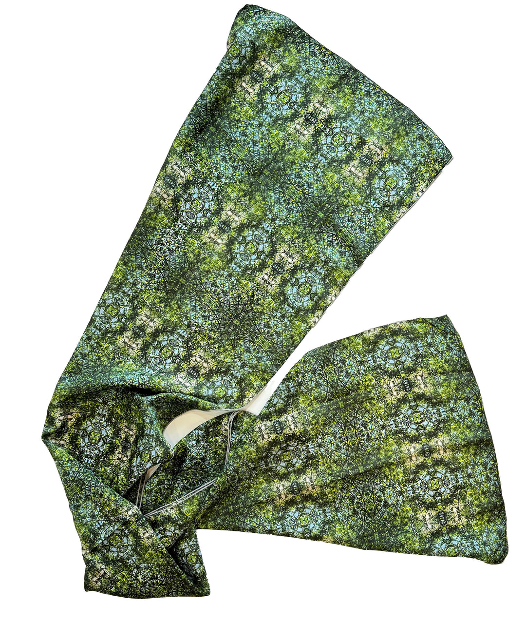 Cypress Tree Sunny Day Long Scarf