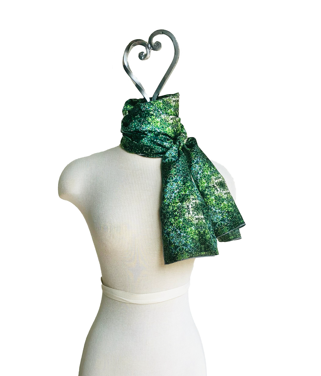 Cypress Tree Sunny Day Long Scarf