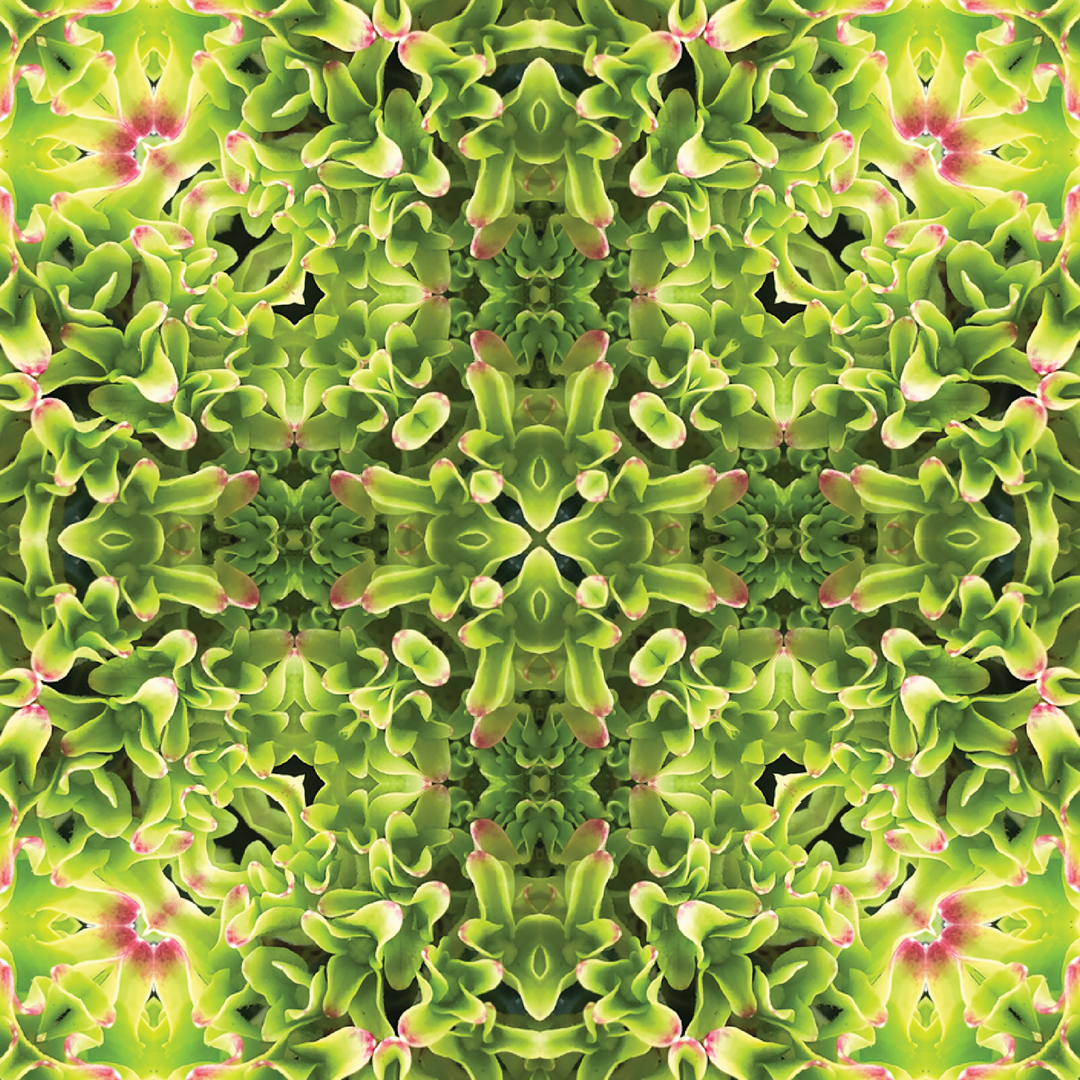 Green Hydrangea Square Scarf