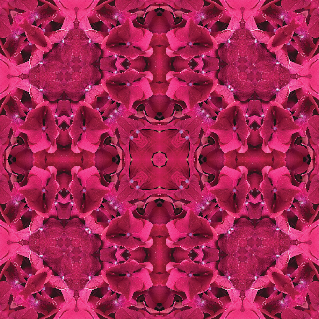 Magenta Hydrangea (Regular) Loose Tank Top