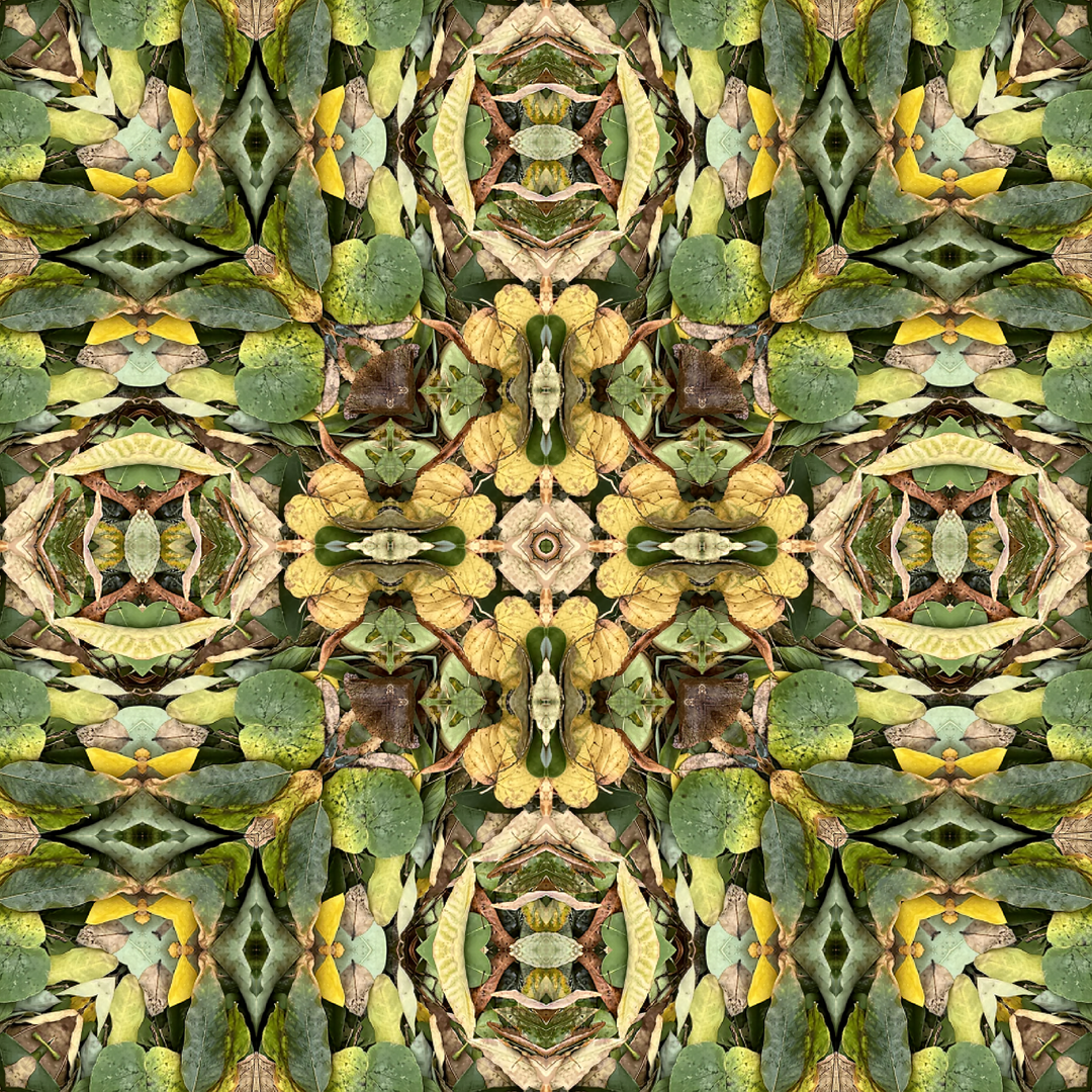 Parisian Leaves 1 Long Scarf