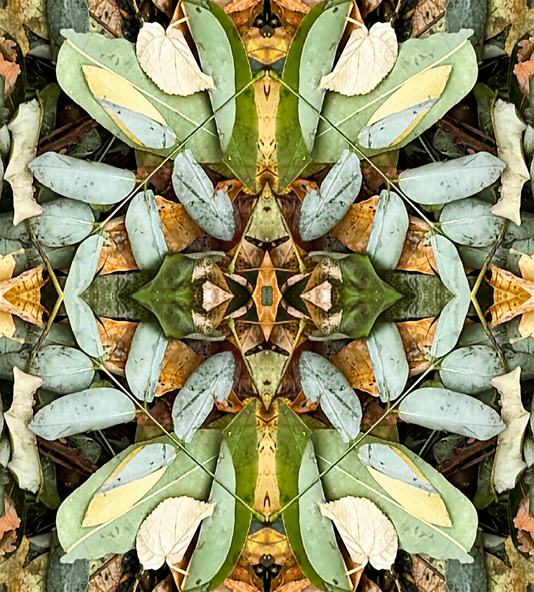 Parisian Leaves 2 Rain Jacket