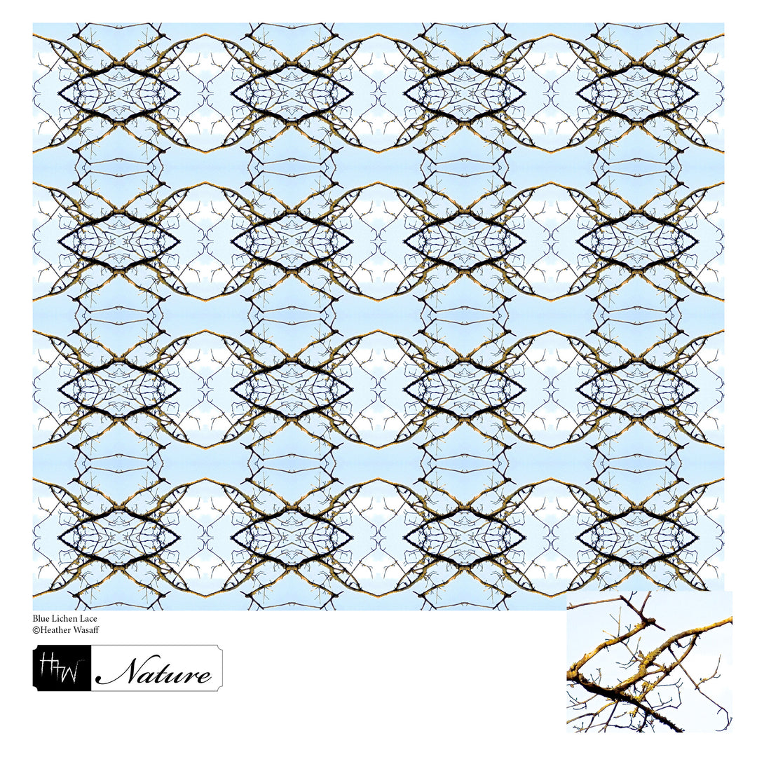 Blue Lichen Lace Long Scarf