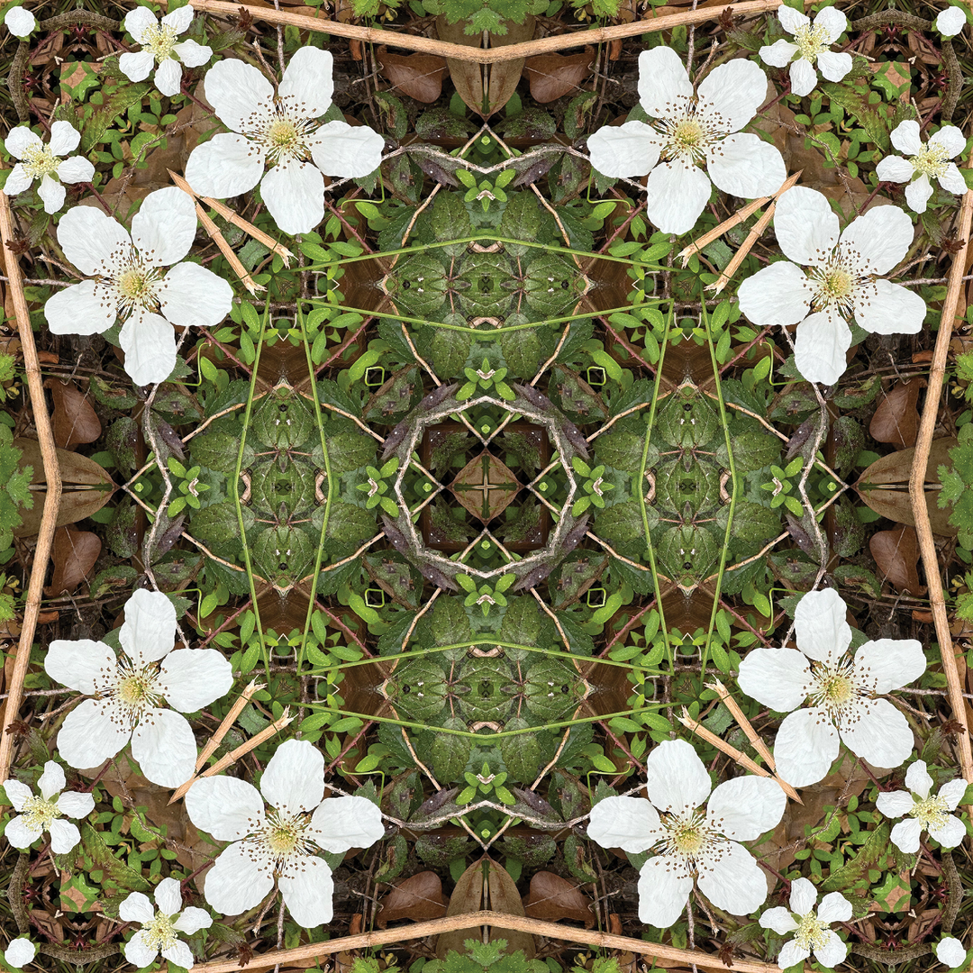 Pigeonberry 1 Square Scarf