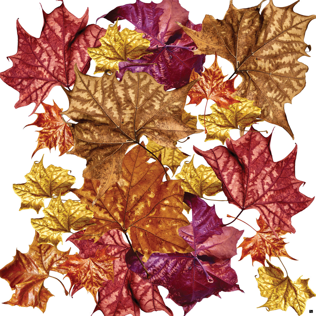 Soggy Leaf Jumble Square Scarf