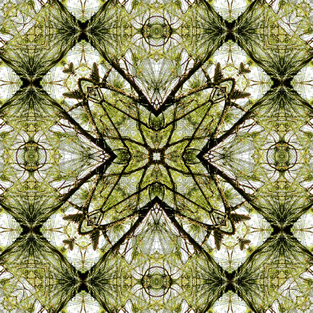 Spring Pine Diamond Long Scarf