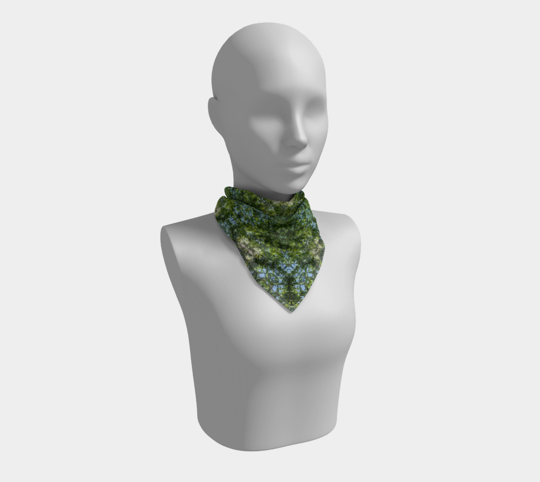 Cypress Tree Sunny Day Square Scarf