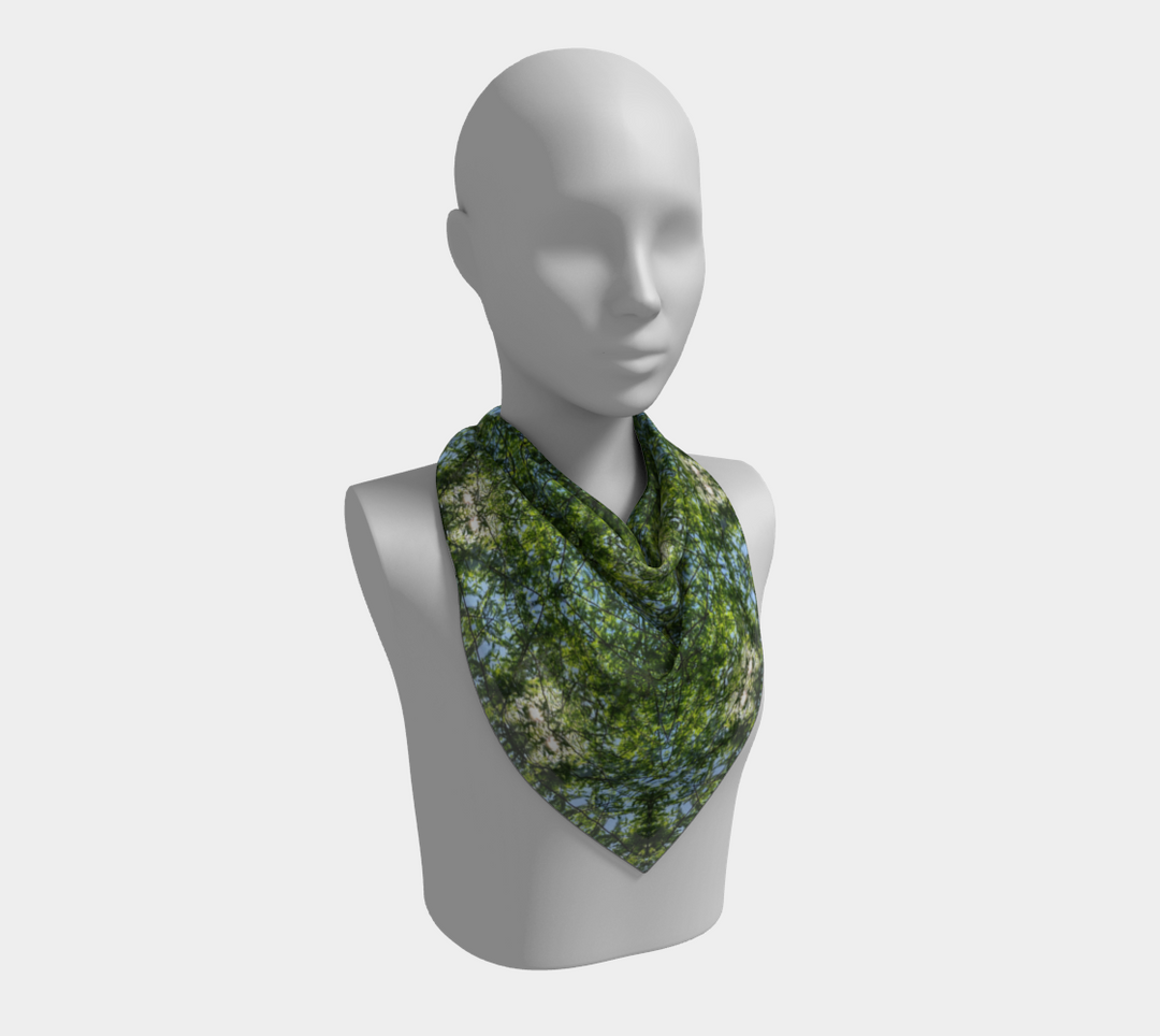 Cypress Tree Sunny Day Square Scarf
