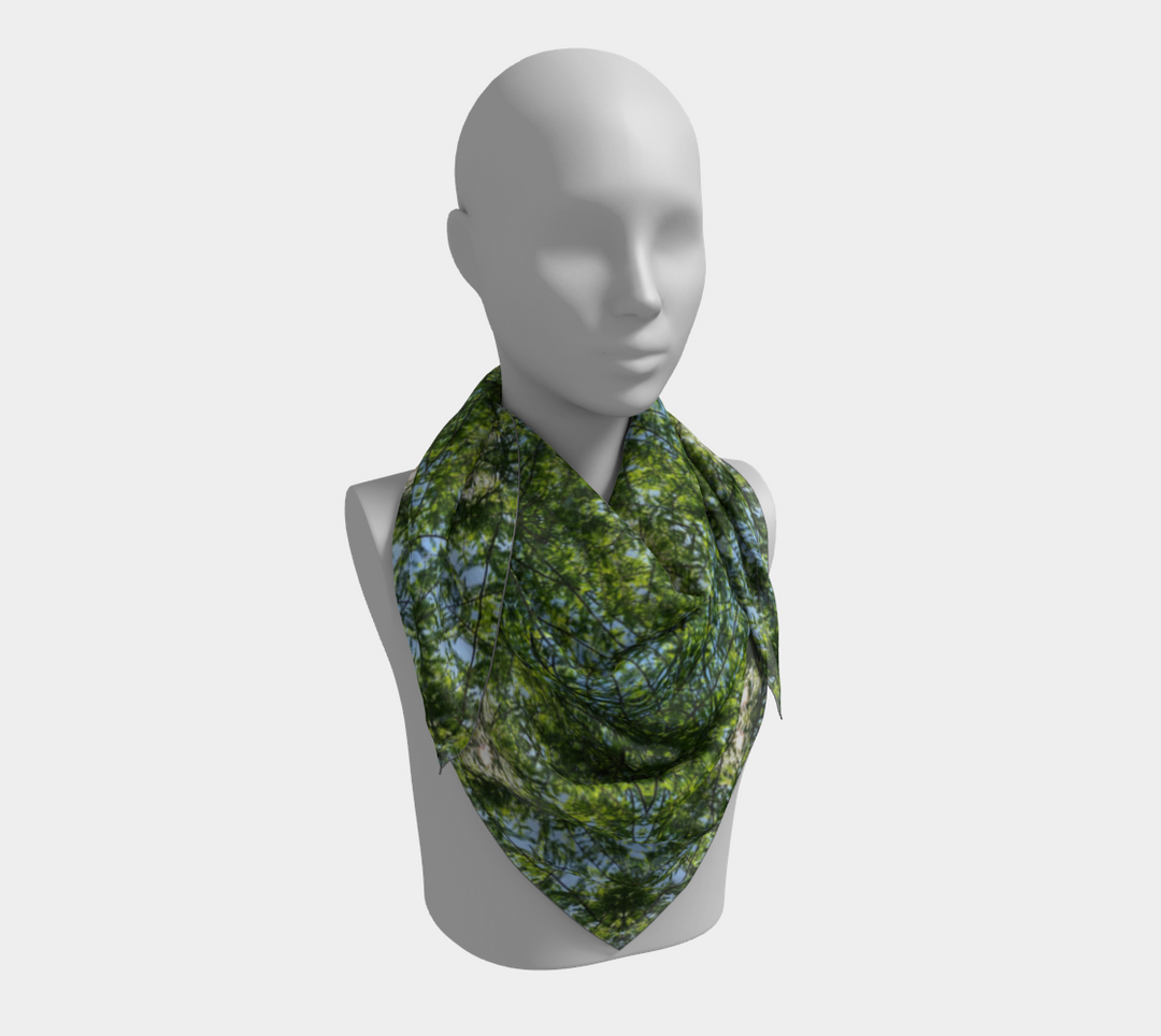 Cypress Tree Sunny Day Square Scarf