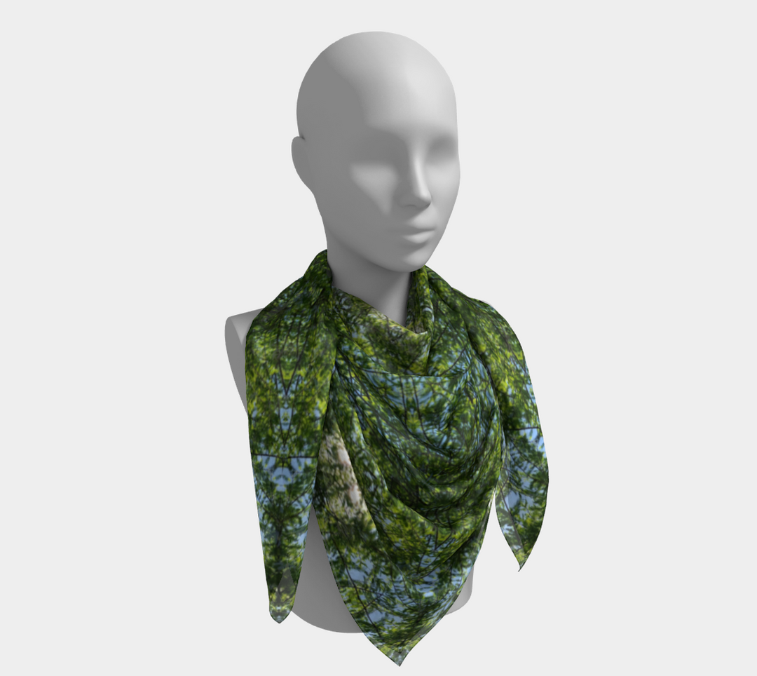 Cypress Tree Sunny Day Square Scarf