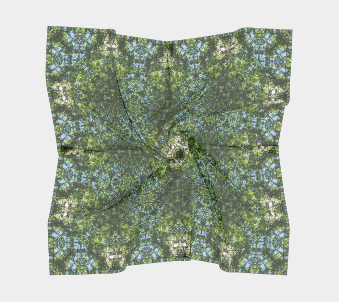 Cypress Tree Sunny Day Square Scarf