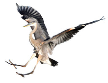 Load image into Gallery viewer, Blue Heron Fight T-Shirt
