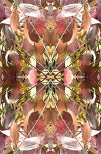 Load image into Gallery viewer, Virginia Autumn 7 Kimono
